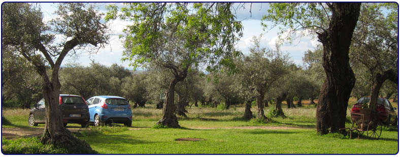 Parkeerplaats Finca Santa Marta